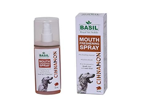 adipiscing mollitelit ipsum