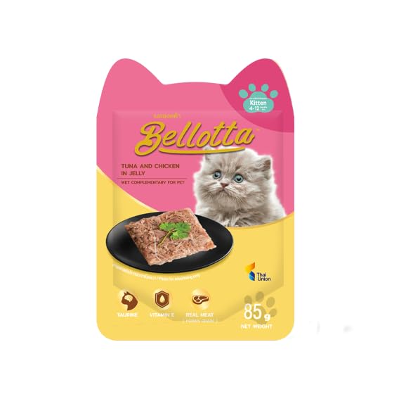 adipiscing mollitelit ipsum