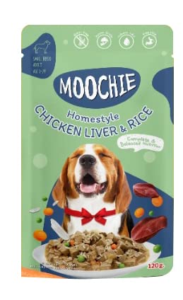 adipiscing mollitelit ipsum