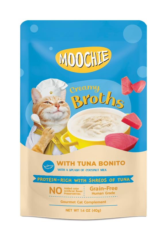 adipiscing mollitelit ipsum